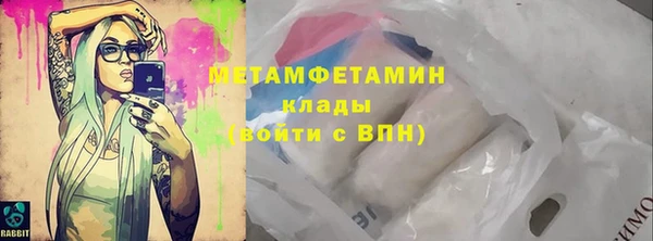 шишки Белокуриха