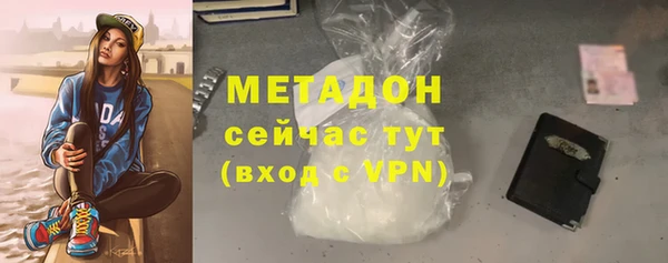 шишки Белокуриха