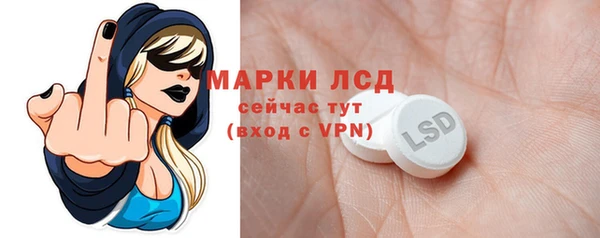 шишки Белокуриха