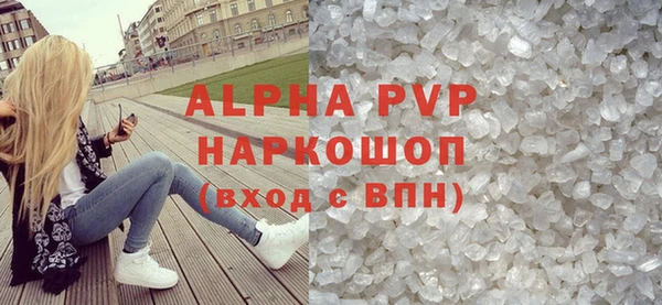 шишки Белокуриха