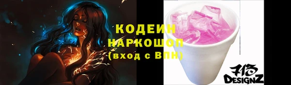 шишки Белокуриха