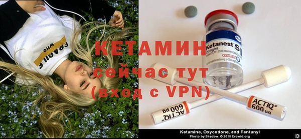 шишки Белокуриха