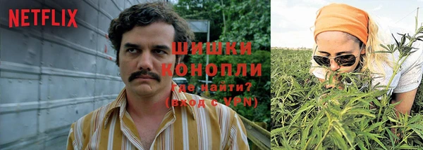 шишки Белокуриха