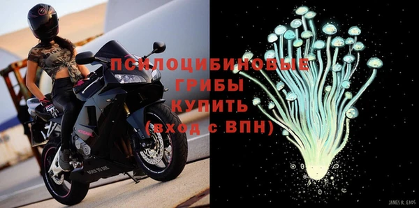 шишки Белокуриха