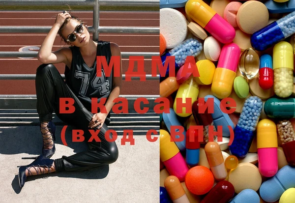 шишки Белокуриха