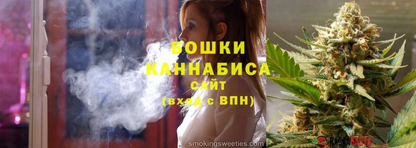 шишки Белокуриха
