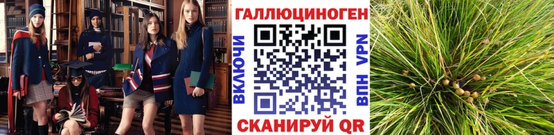 Псилоцибиновые грибы Magic Shrooms  Купить  Реж 